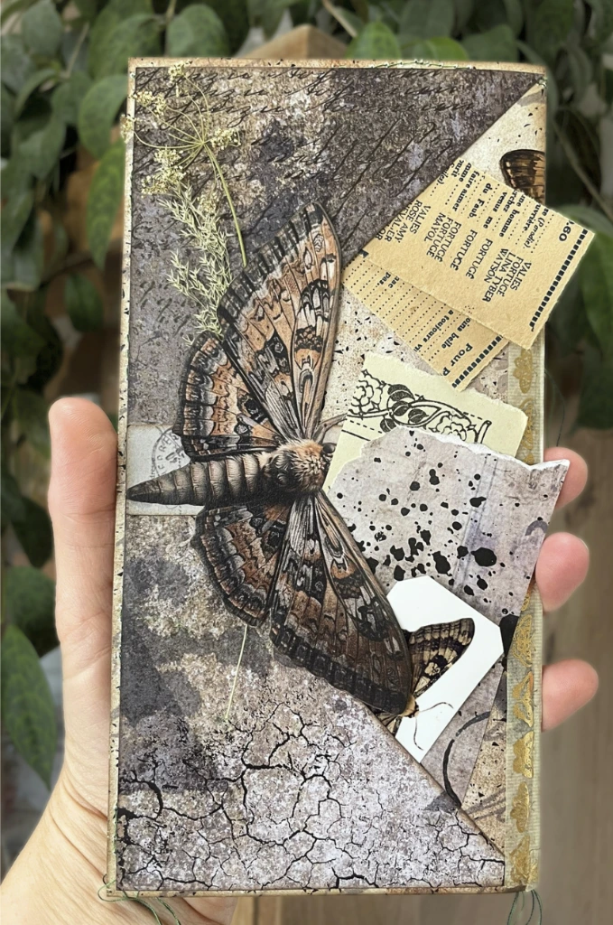 ephemera-big-moth.webp