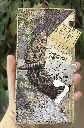 ephemera-big-moth.webp