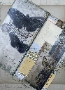 ephemera-holder-moths.webp
