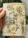 ephemera-hexe.webp