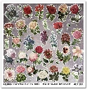 Ephemeral-moments-scrapbooking-paperset_SLS036-7.webp