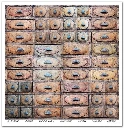 SLS 049_Herbarium_2_small_12.webp