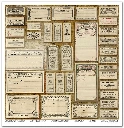 SLS 049_Herbarium_2_small_6.webp