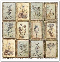 SLS 049_Herbarium_2_small_3.webp
