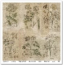 SLS 049_Herbarium_2_small_7.webp