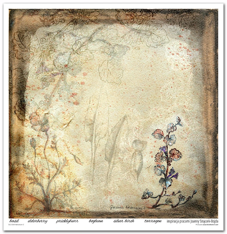 SLS 049_Herbarium_2_small_4.webp