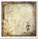SLS 049_Herbarium_2_small_4.webp