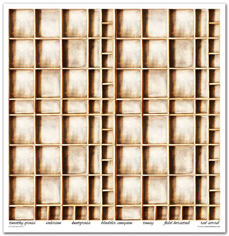 SLS 049_Herbarium_2_small_11.webp