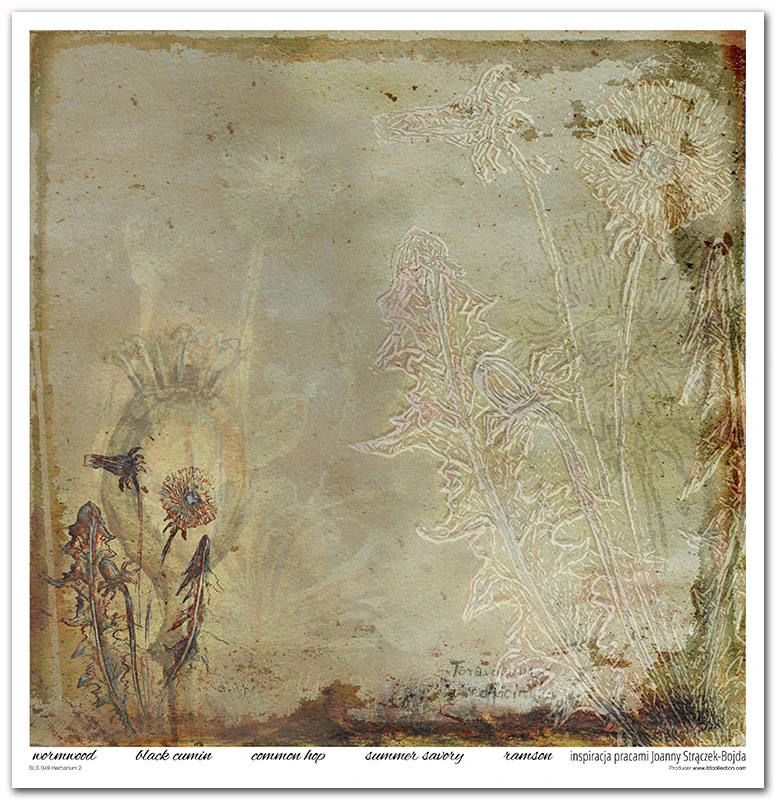 SLS 049_Herbarium_2_small_5.webp
