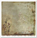 SLS 049_Herbarium_2_small_5.webp