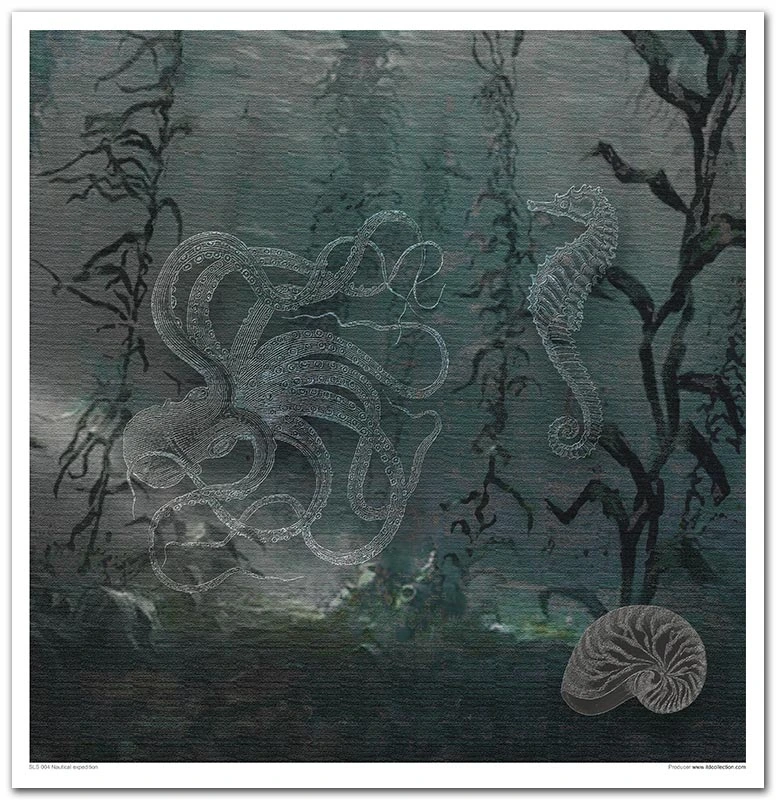 Nautical-expedition_SLS004-10.webp