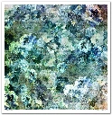SLS005-The-elven-valley-09.webp