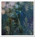 SLS005-The-elven-valley-07.webp