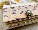 IMG_3329-2.webp
