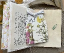 IMG_3321-2.webp