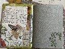 IMG_E3448-2.webp