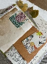 IMG_E3456.webp