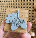Stempel_Winter_Eichel-5.webp