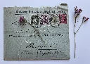 IMG_5107.webp