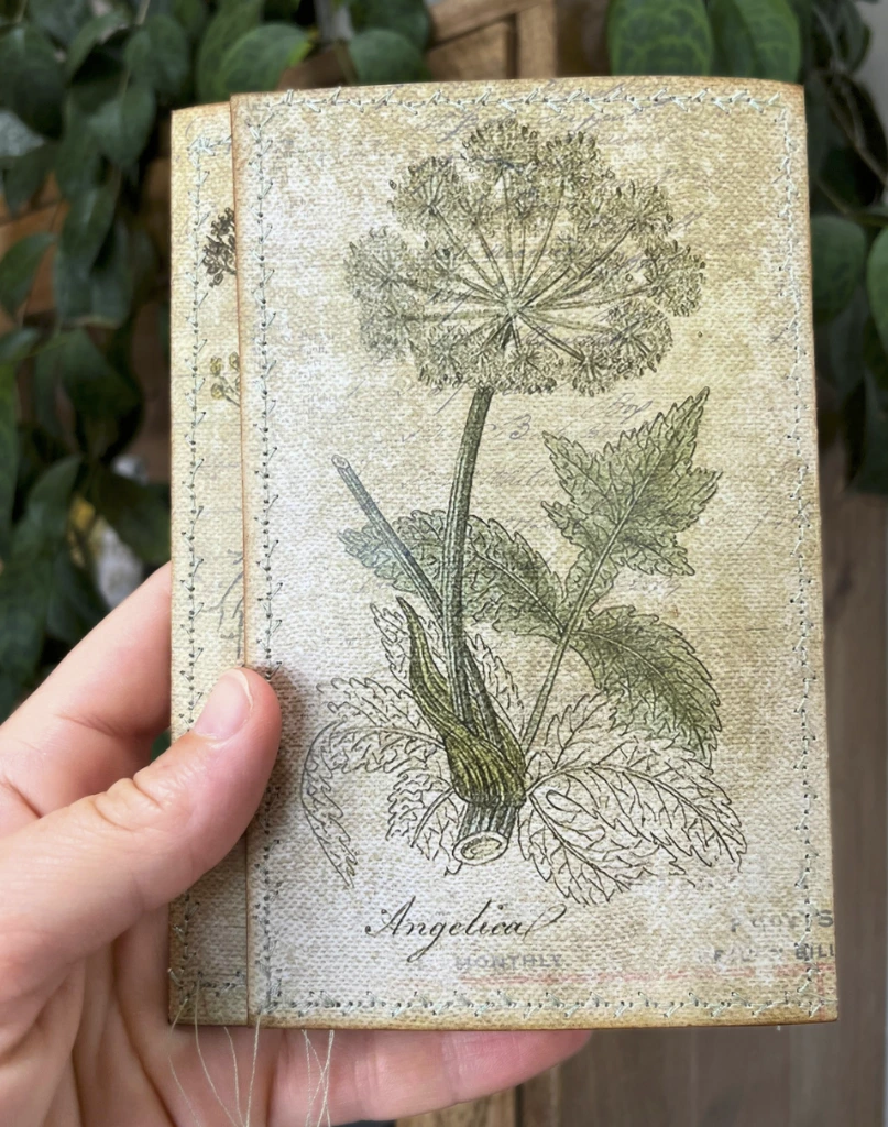 Heilpflanzen | Ephemera Folder