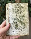 Heilpflanzen | Ephemera Folder